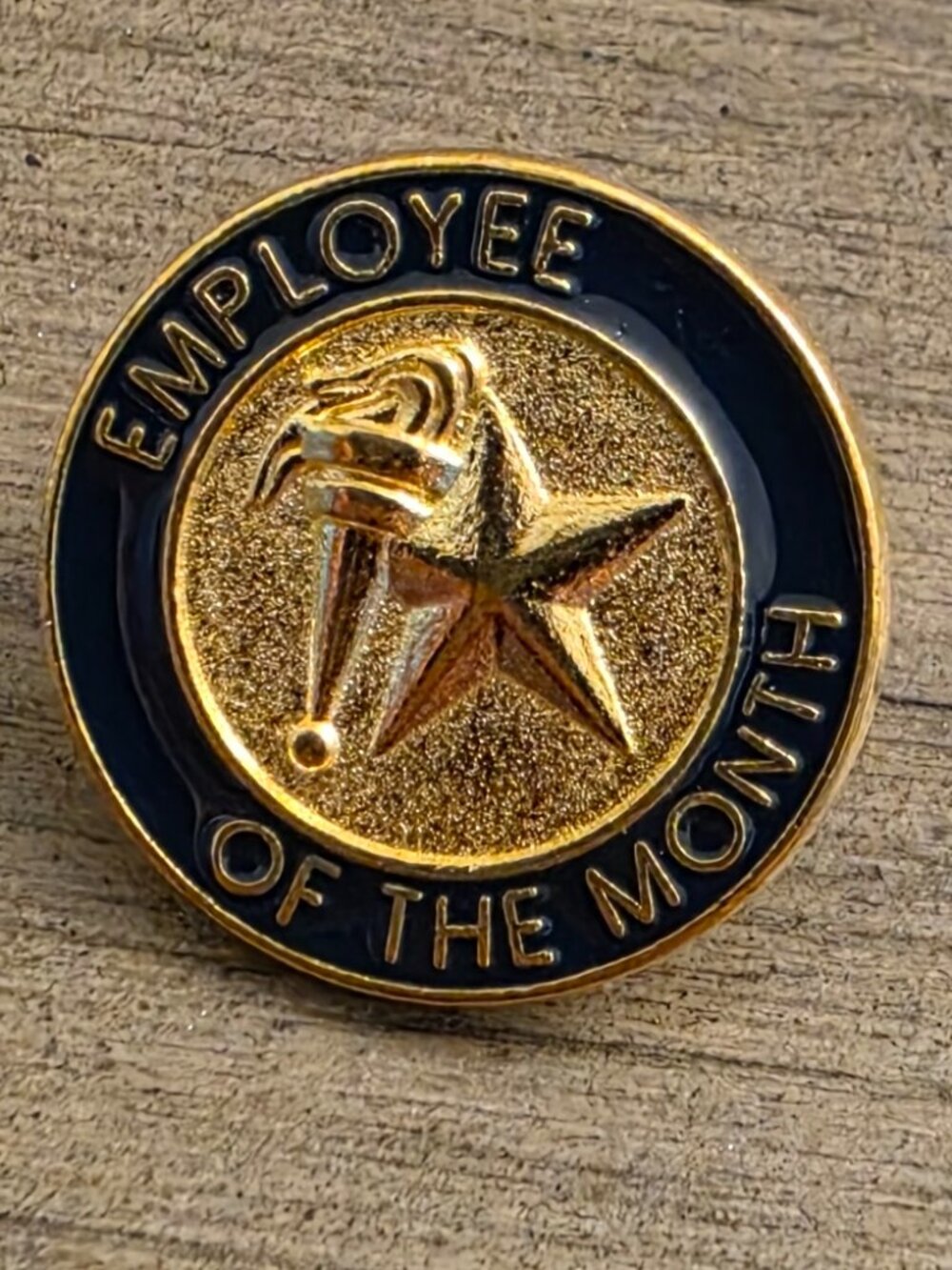 Employee of the Month Lapel Pin- Box of 21- 3/4"
